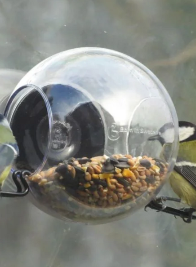 Birdfeeder For the Window