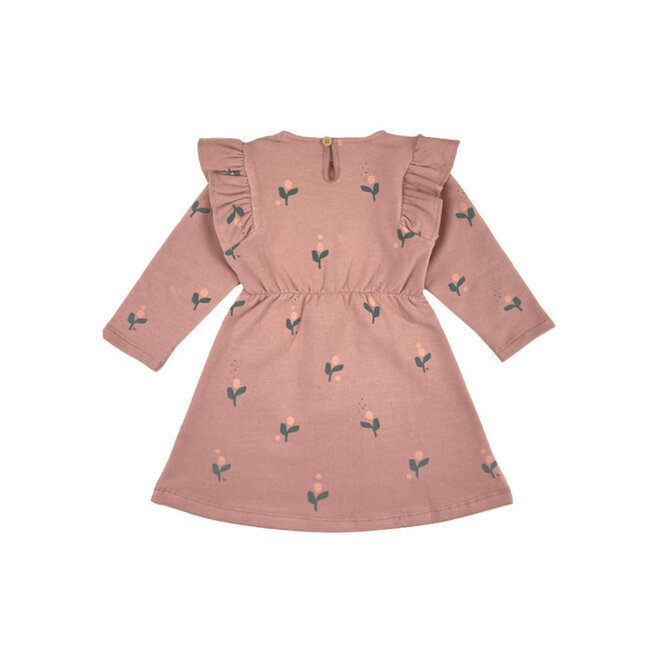 Babyclic - Dress Flor Vintage pink