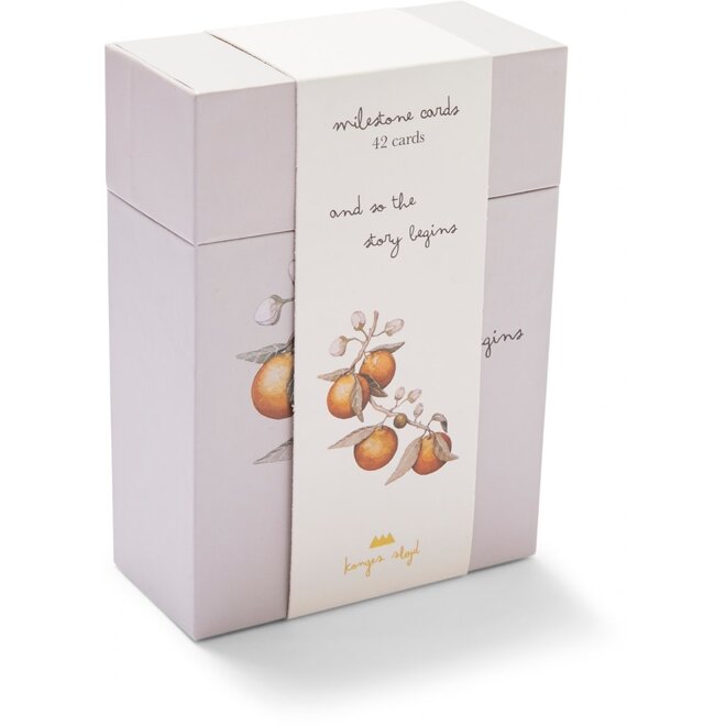 Konges Slojd - Milestones