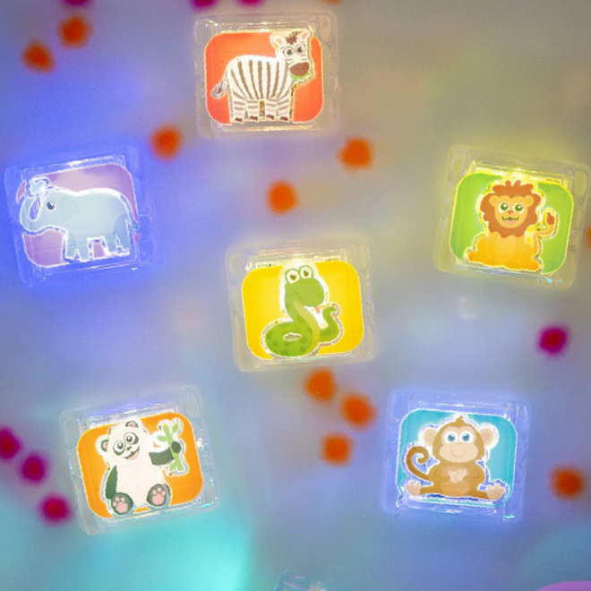 Glopals cubes 6 pieces Zoo