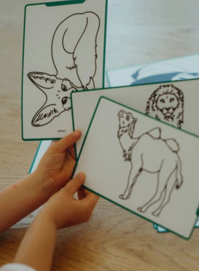 Kidywolf - REFIL KIDYDRAW-MINI Dieren over de hele wereld/Oceanen en piraten
