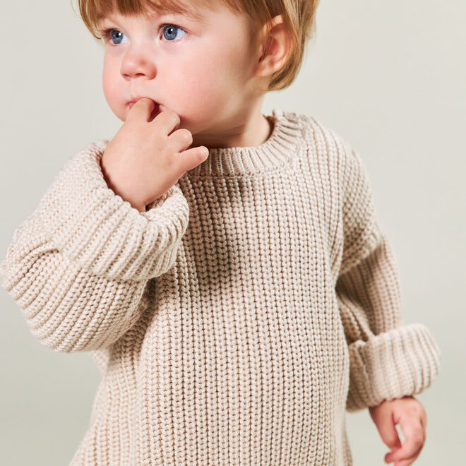 I Dig Denim - Brett knitted sweater cold beige