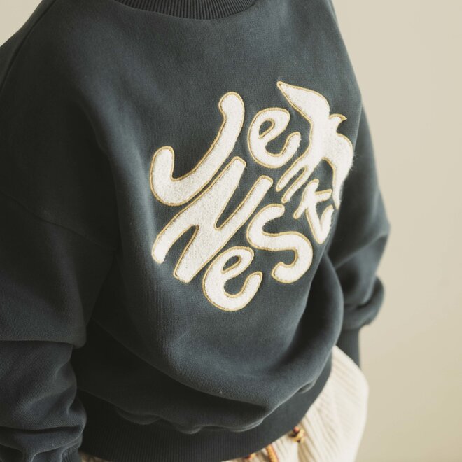 Jenest - Bird sweater fleece Dark grey