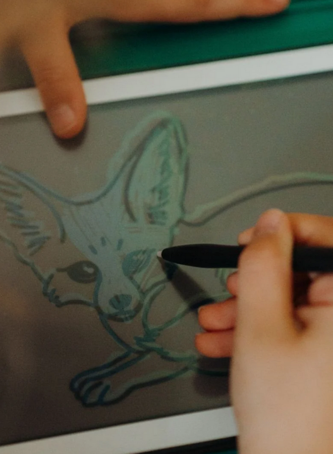 Kidywolf - REFIL KIDYDRAW-MINI Dieren over de hele wereld/Oceanen en piraten