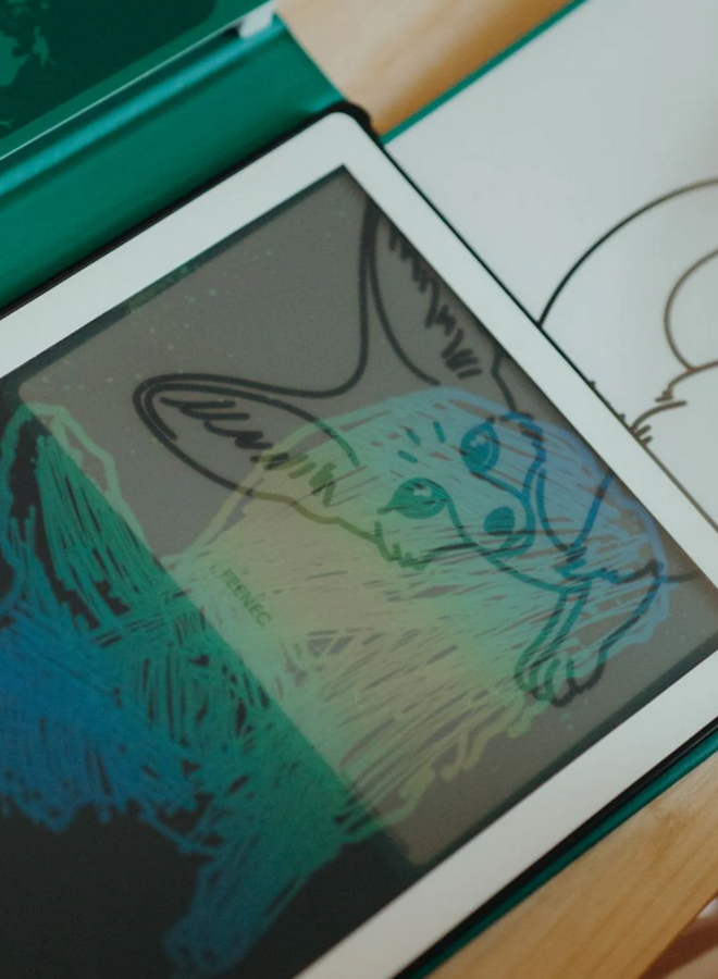 Kidywolf - REFIL KIDYDRAW-MINI Dieren over de hele wereld/Oceanen en piraten