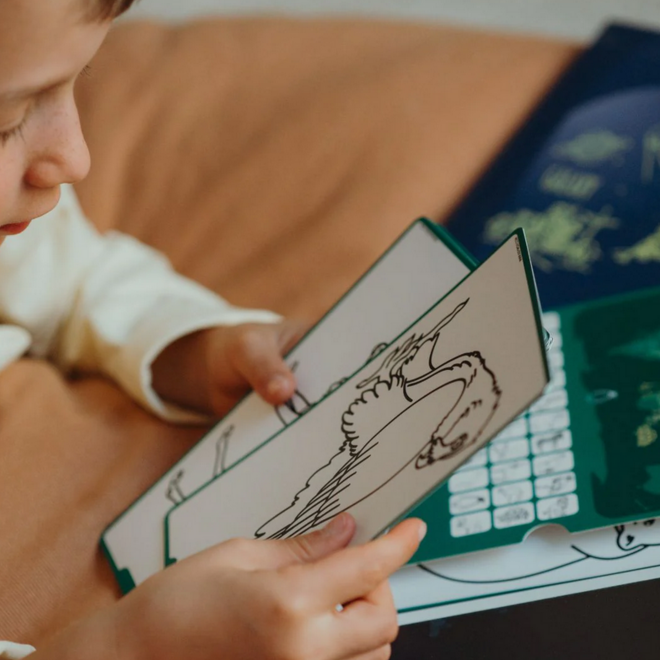 Kidywolf - REFIL KIDYDRAW-MINI Dieren over de hele wereld/Oceanen en piraten