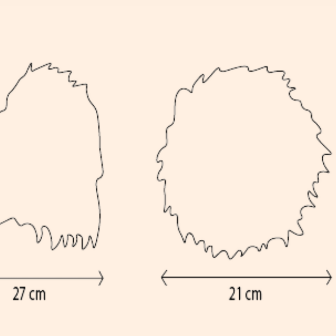 Wild & Soft - Kop leeuw Cesar the Lion