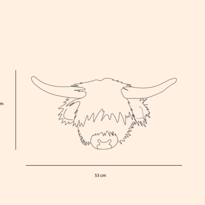 Wild & Soft - Kop Hoogland koe Nicolas