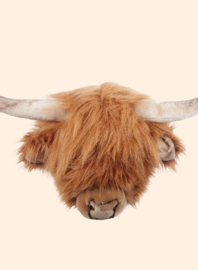 Wild & Soft - Kop Hoogland koe Nicolas