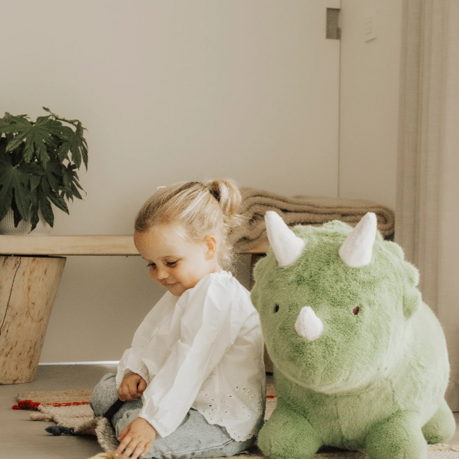 Wild & Soft - Soft bouncy dino