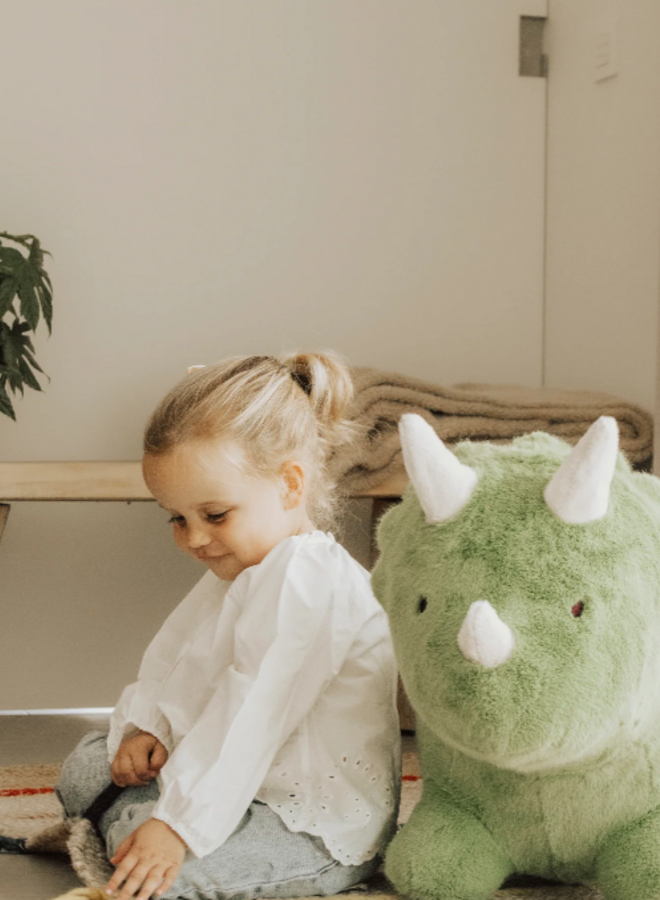 Wild & Soft - Soft bouncy dino