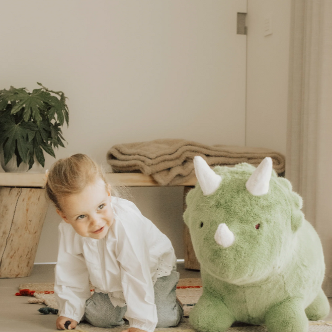 Wild & Soft - Soft bouncy dino