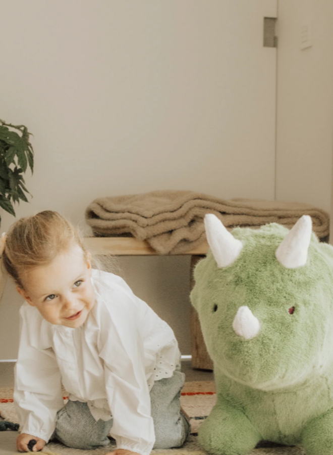 Wild & Soft - Soft bouncy dino