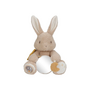 Little Dutch - Activiteitenknuffel Baby Bunny