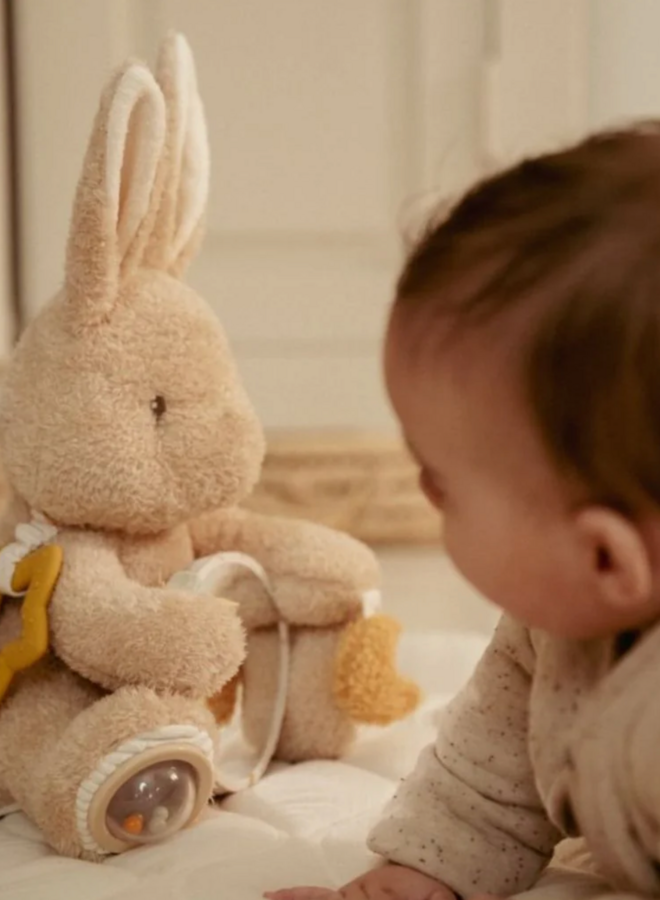 Little Dutch - Activiteitenknuffel Baby Bunny
