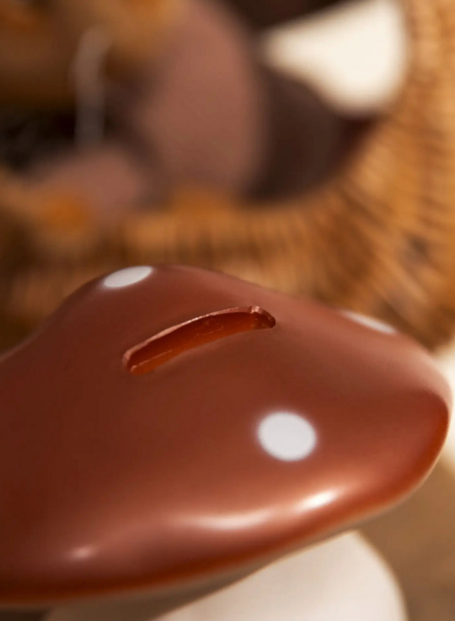Egmont Toys - Spaarpot Paddenstoel koper