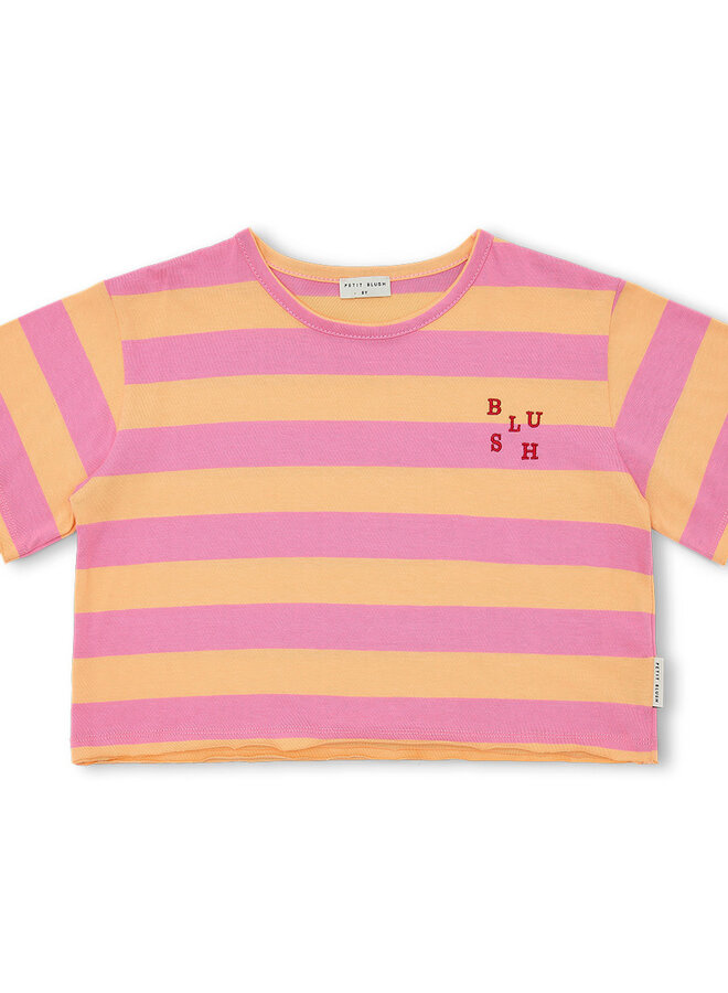 Petit Blush - Stripe t-shirt Cashmire rose/Peach cobbler
