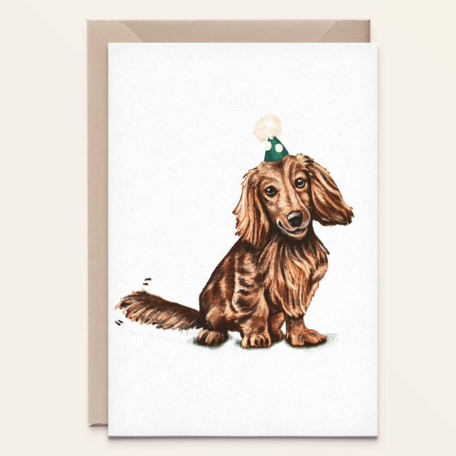 Kathings - Teckel Longhair