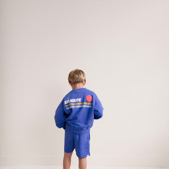 Jenest - Jack sweater/Cobalt blue