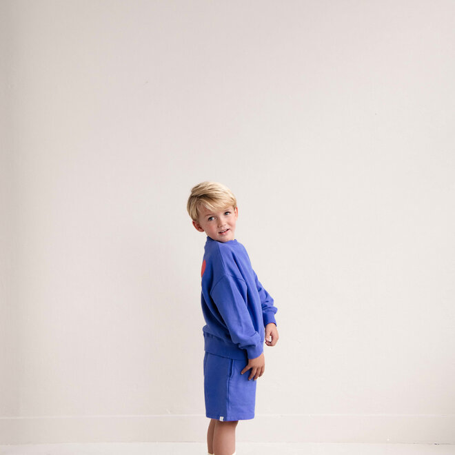 Jenest - Jack sweater/Cobalt blue