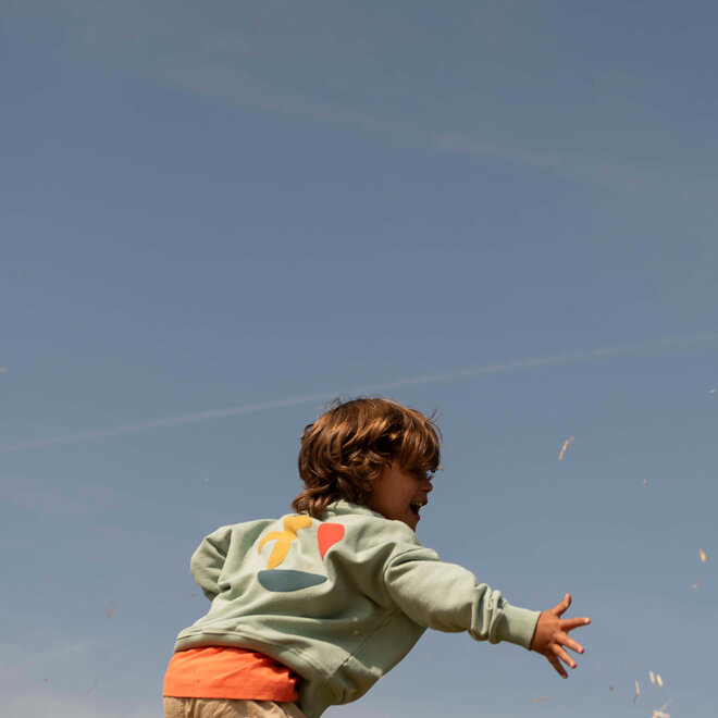 Jenest - Happy bird sweater/Sage green