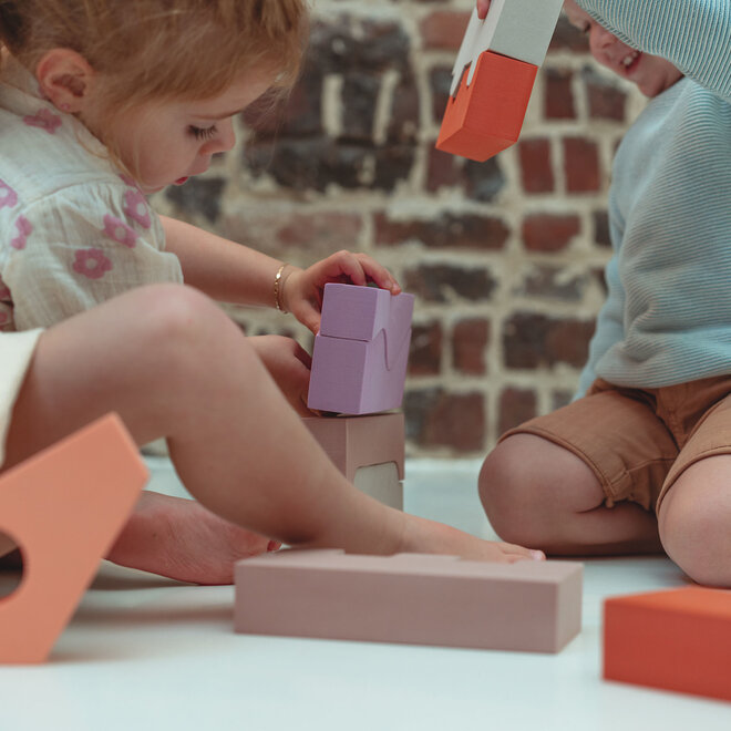 Moes - Puzzle blocks Terra