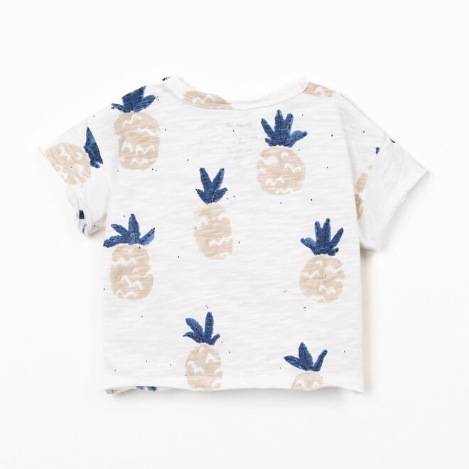 Play Up - pinaple Creation