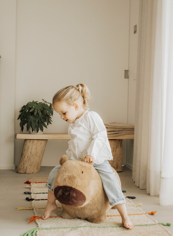 Wild & Soft - Soft bouncy Capibara