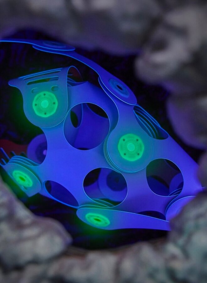 Clixo - Ocean Creatures - Adventure Pack