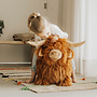 Wild & Soft - Soft bouncy Highland cow