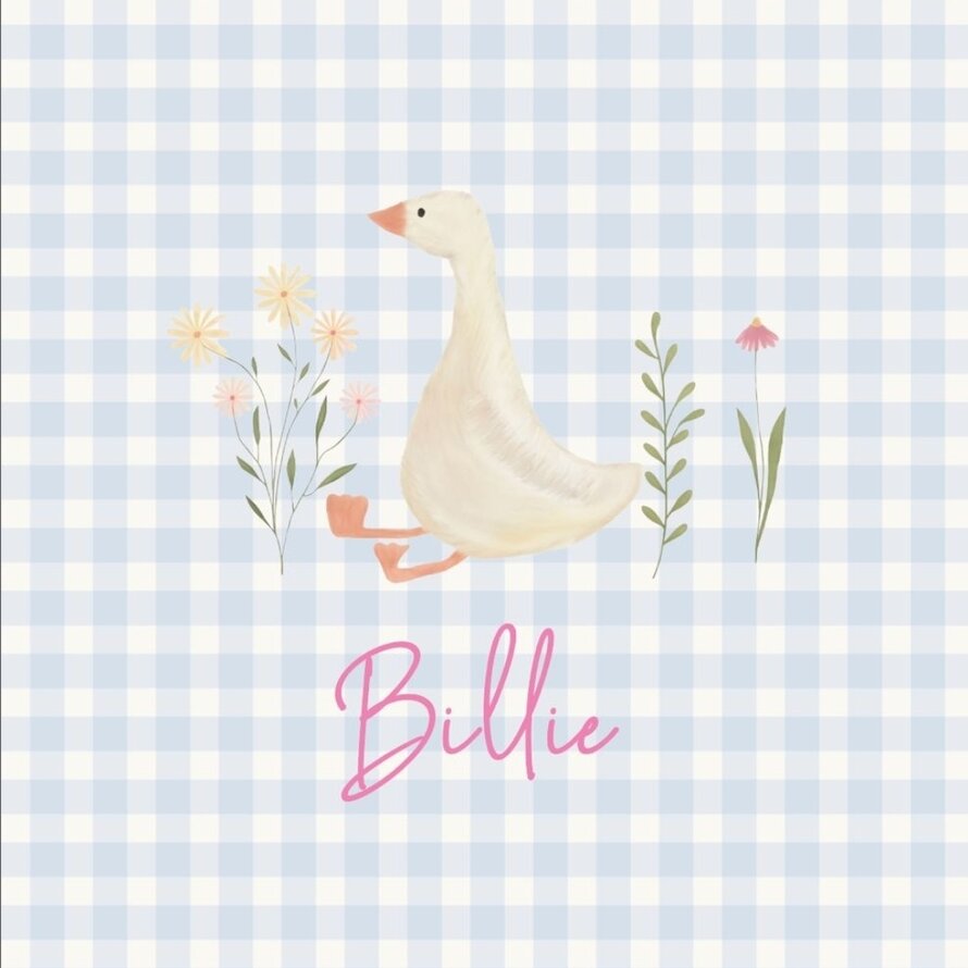 Liste de naissance Billie Marie