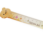 Legami Sweet bear Ruler Teddy bear