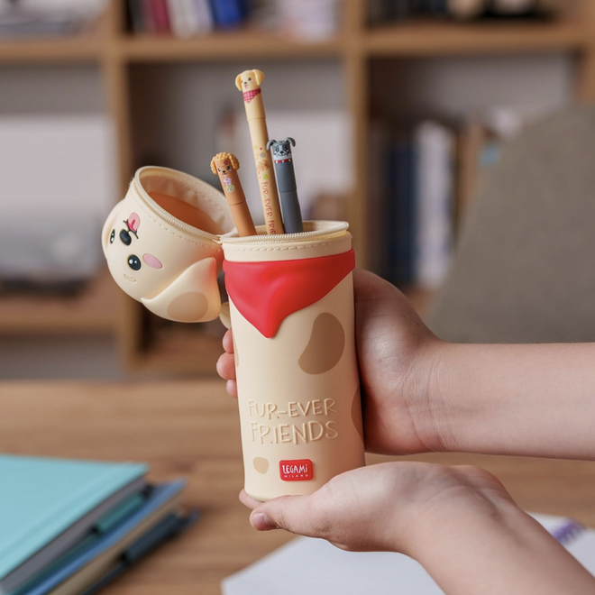 Legami Kawaii - 2 in 1 pencil case Golden