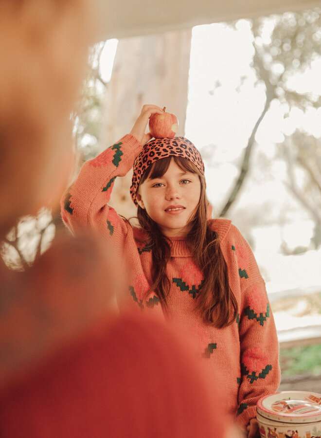 Piupiuchick - Jacquard sweater collar
