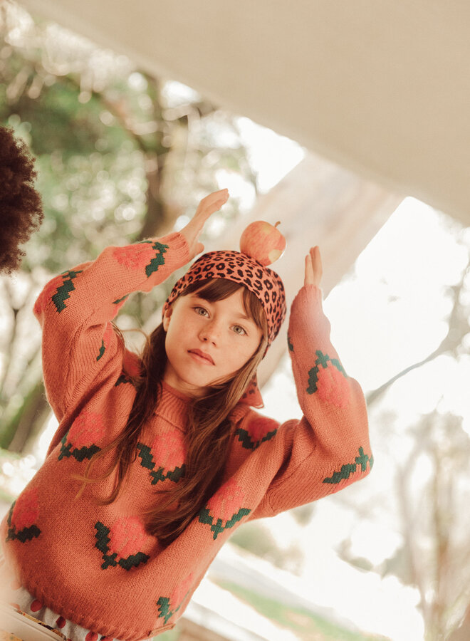 Piupiuchick - Jacquard sweater collar