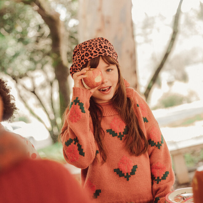 Piupiuchick - Jacquard sweater collar