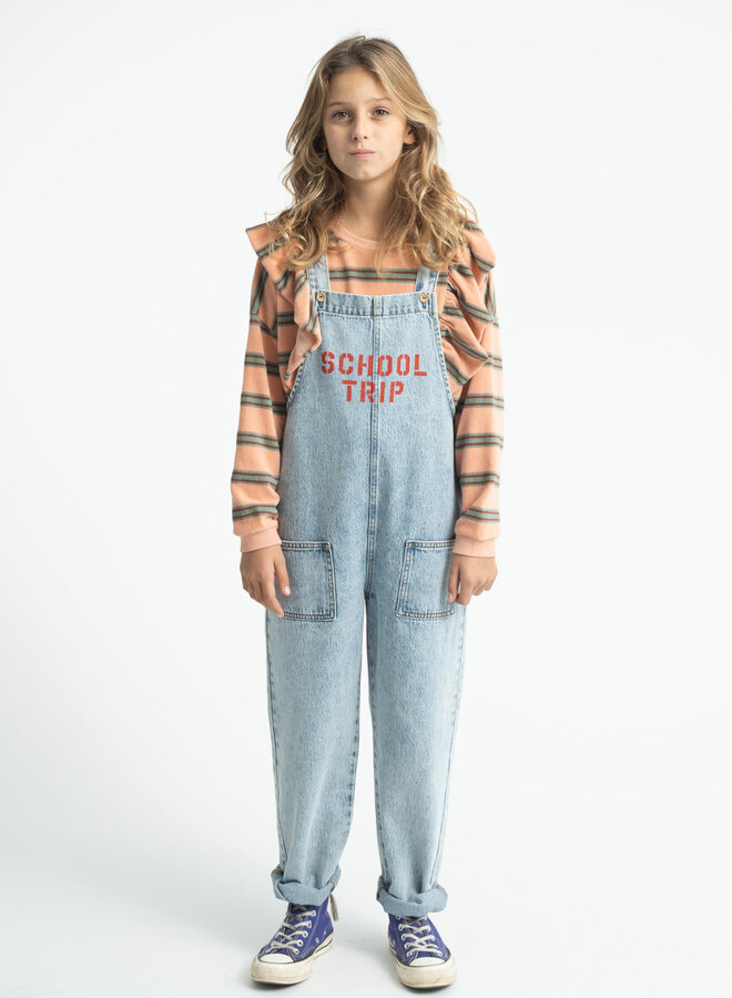 Piupiuchick - Terry sweatshirt pink double stripes