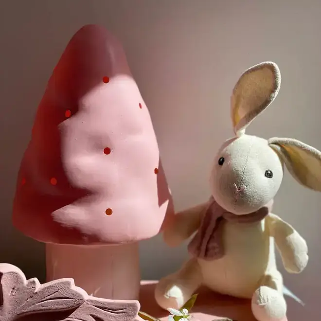 Egmont Toys - Paddenstoel lamp met LED - Small Vintage pink