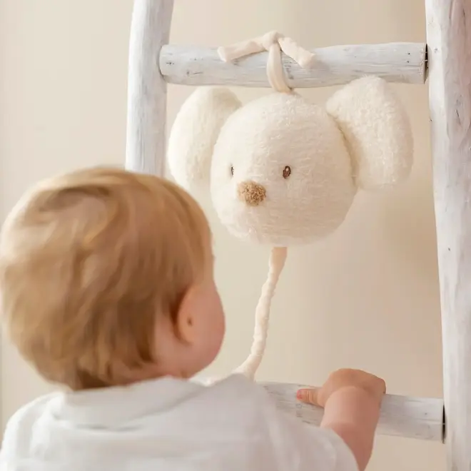 Nattou - Teddy Muziektrekker muis
