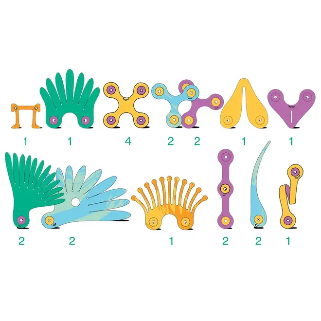 Clixo® | Tropical Birds 24 stuks