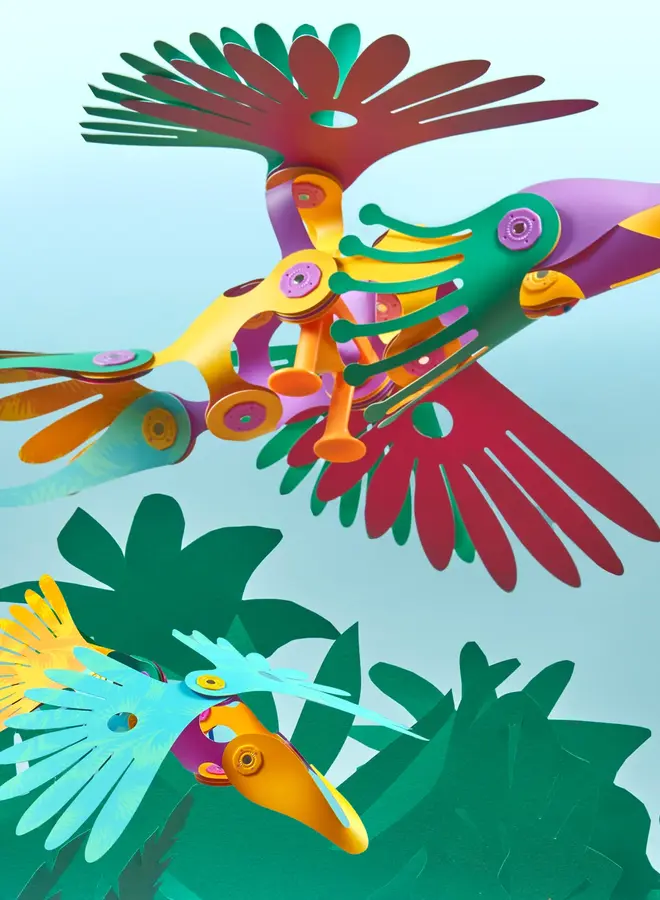 Clixo® | Tropical Birds 24 stuks
