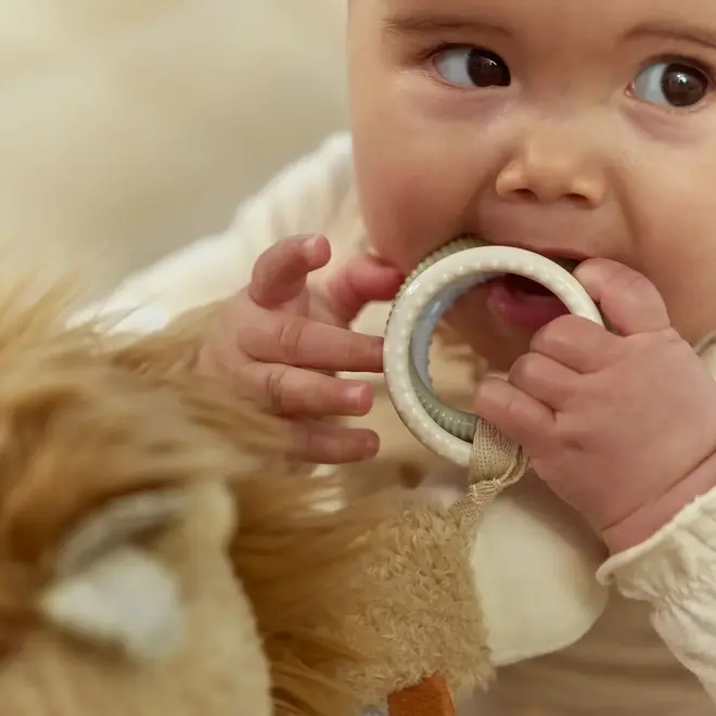 Little Dutch - Activiteitenknuffel Leeuw