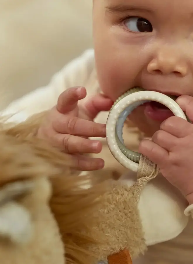 Little Dutch - Activiteitenknuffel Leeuw