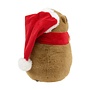 Mary's - Jinglebara Singing Capibara