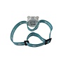 Mary's - Headlamp Bear