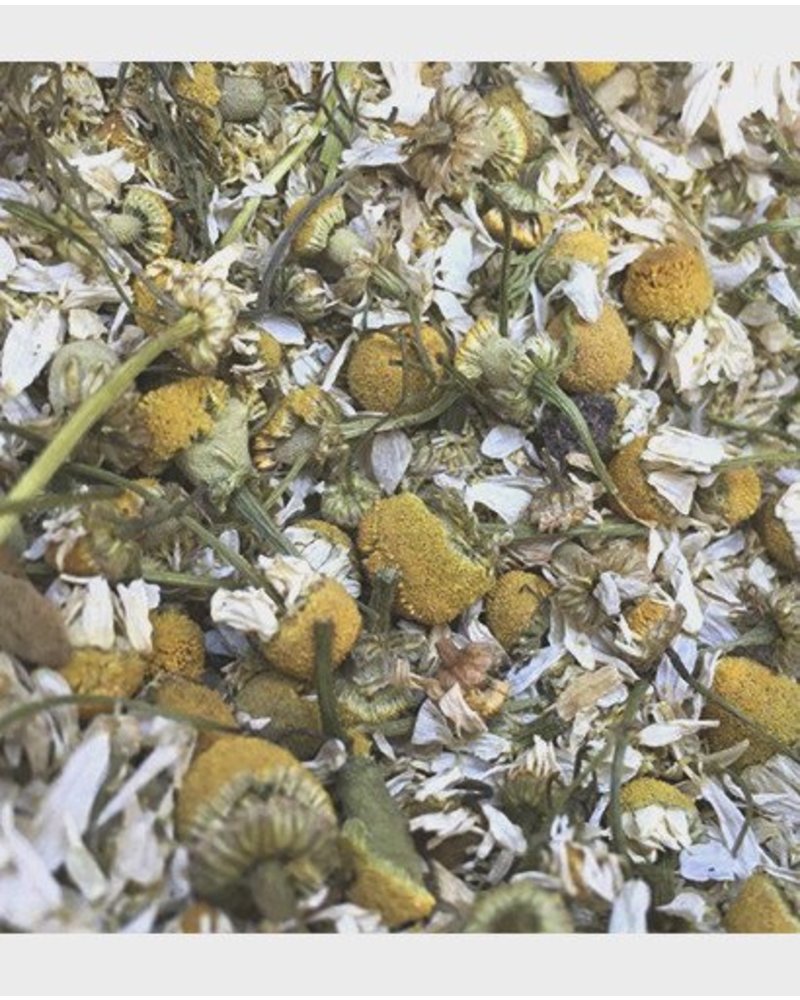 Camomile flowers - Matricaria recutita