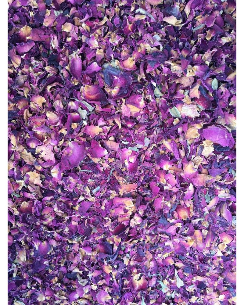 Rose flower petals