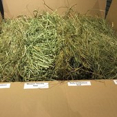 Herb pack for the bad hay eater