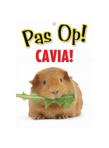 Waakbord Cavia