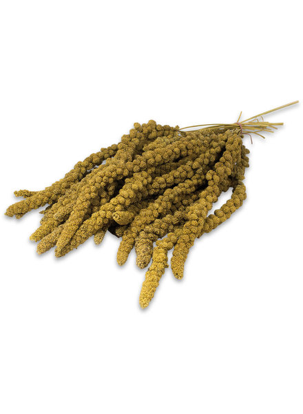 JR FARM Millet en grappes